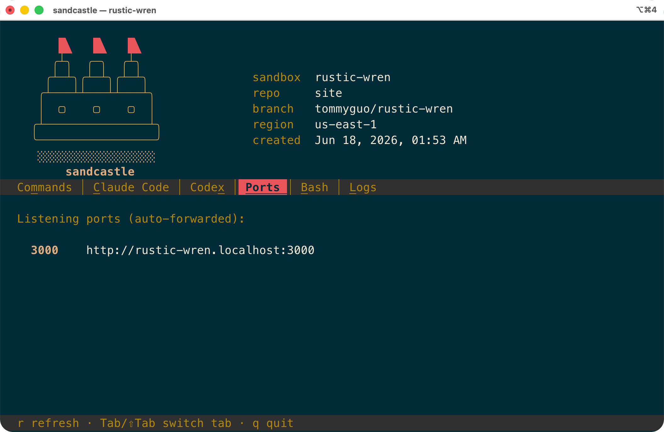 The sandcastle TUI Ports tab, showing an auto-forwarded port 3000